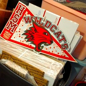 HIGH SCHOOL MUSICAL DISNEY ON ICE  2002 VINTAGE PENNANT...